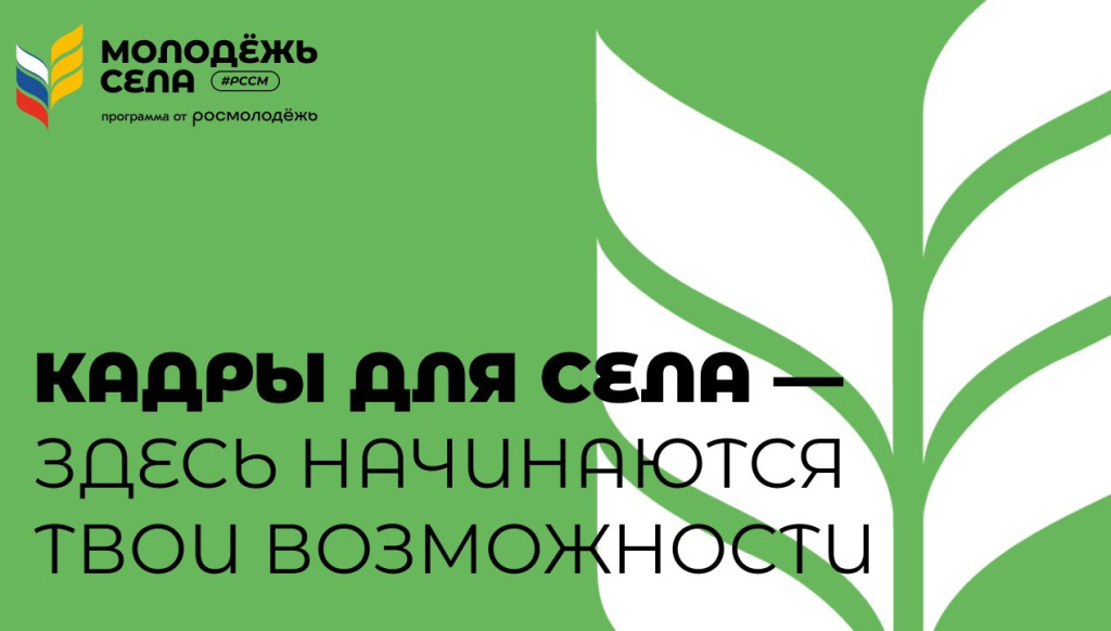 Миляев пригласил Алиханова принять участие в открытии нового производства в Туль